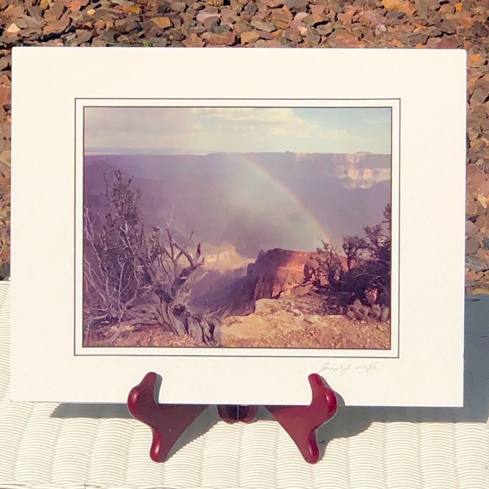 REPRODUCTION OF DESERT SCENE